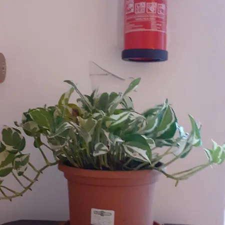 Casa San Mamolo アパート *