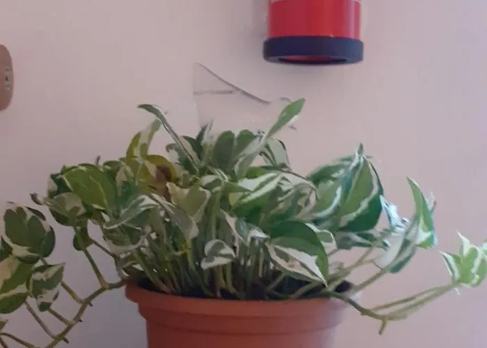 Casa San Mamolo Daire *